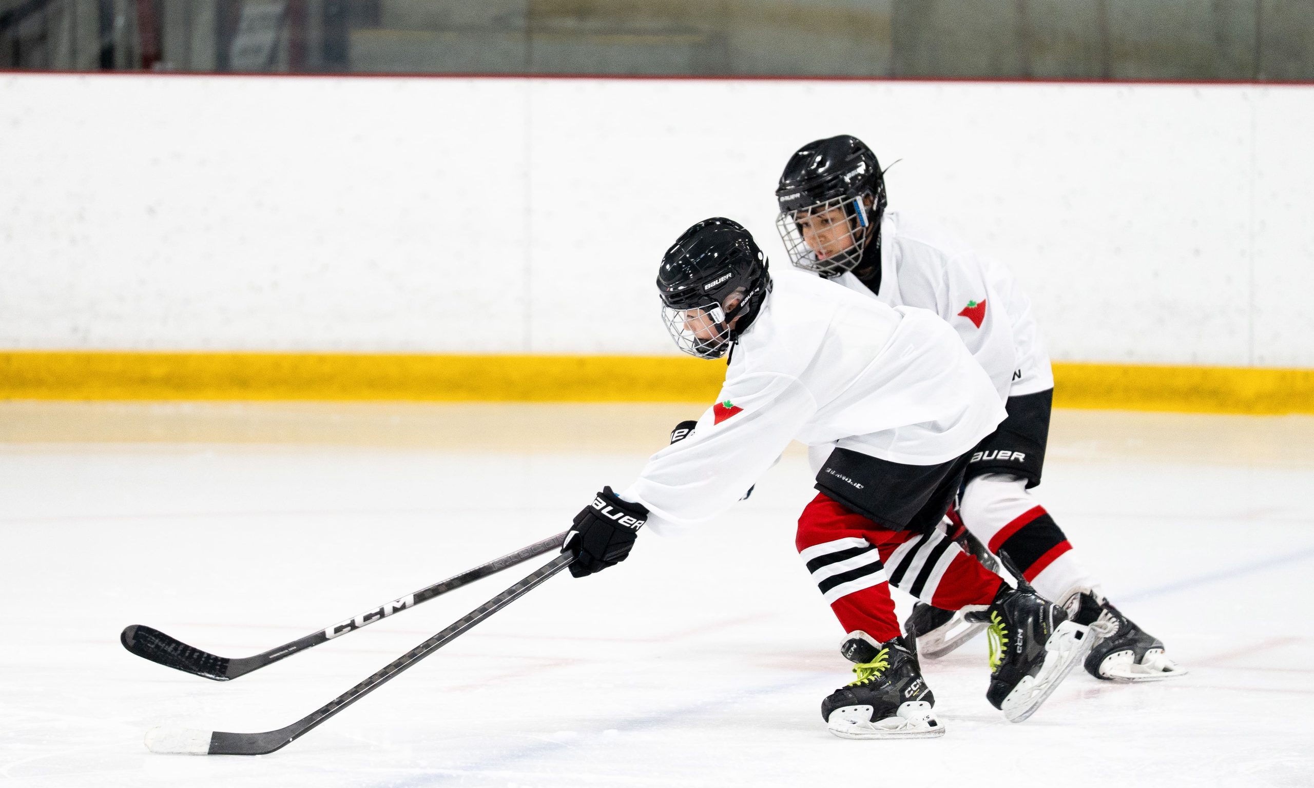 Two young ice hockey players in white jerseys and black helmets battle for a puck on the ice.